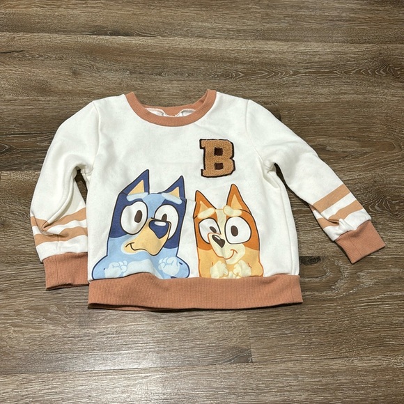 Disney Other - Bluey Sweatshirt